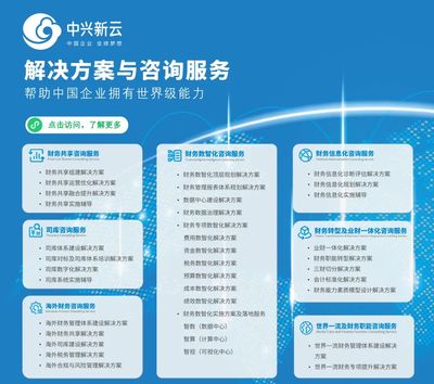中兴新云咨询服务 数智赋能，开启财务管理新篇章
