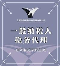 代账报税_财务咨询_中小企业