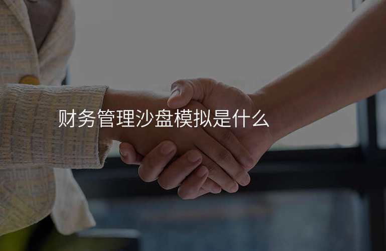 财务管理沙盘模拟